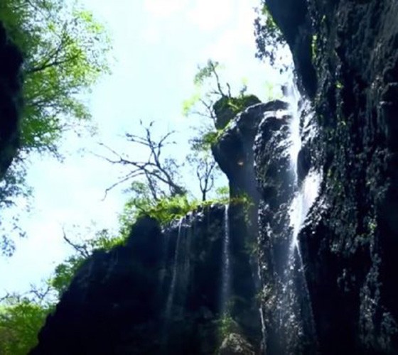 青山綠水，白龍江畔江畔息白鷺，兩岸綠橄欖入眼的都是純樸自然枝上花開(kāi)，春來(lái)水暖魚(yú)蝦戲水，鳥(niǎo)語(yǔ)花香心中充滿(mǎn)著(zhù)舒暢之感祥宇生態(tài)產(chǎn)業(yè)園，位于隴南市武..